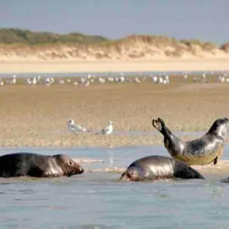In With Sea Area, Cleaning Included * Quend-Plage